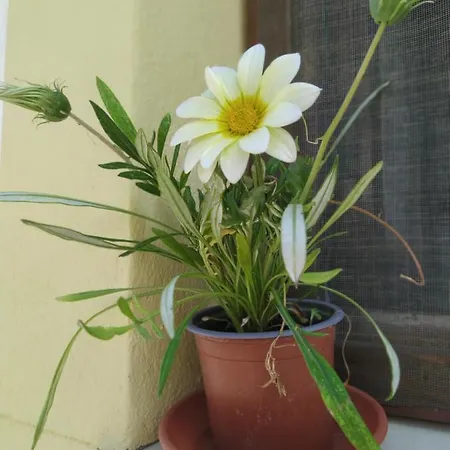 아파트 House Leo & Mary *